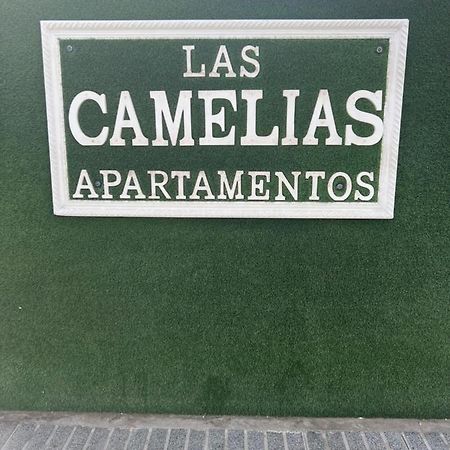Yumbo Appartamenti Las Camelias Playa Del Ingles מראה חיצוני תמונה