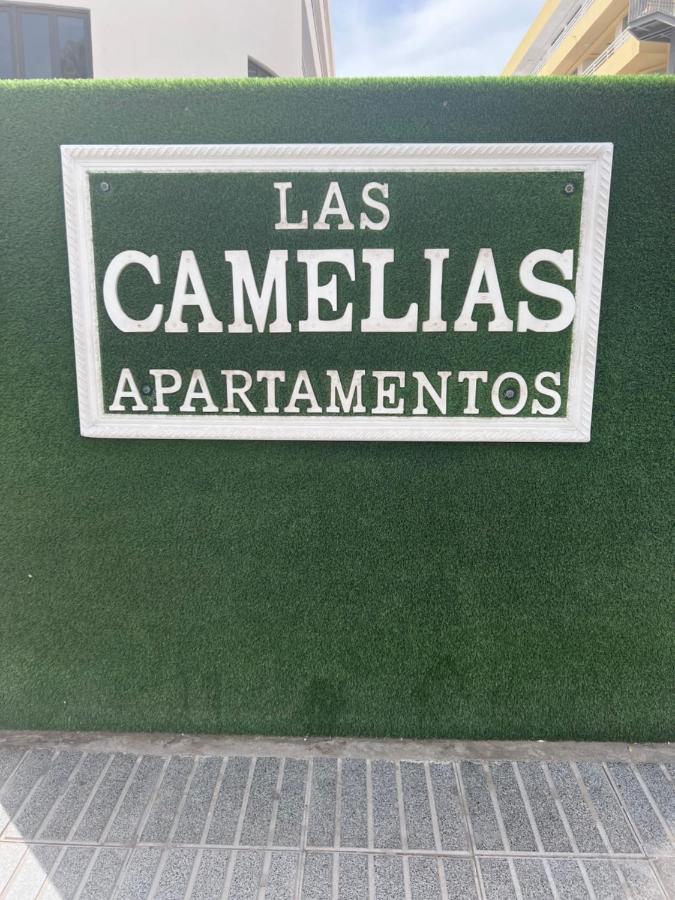 Yumbo Appartamenti Las Camelias Playa Del Ingles מראה חיצוני תמונה